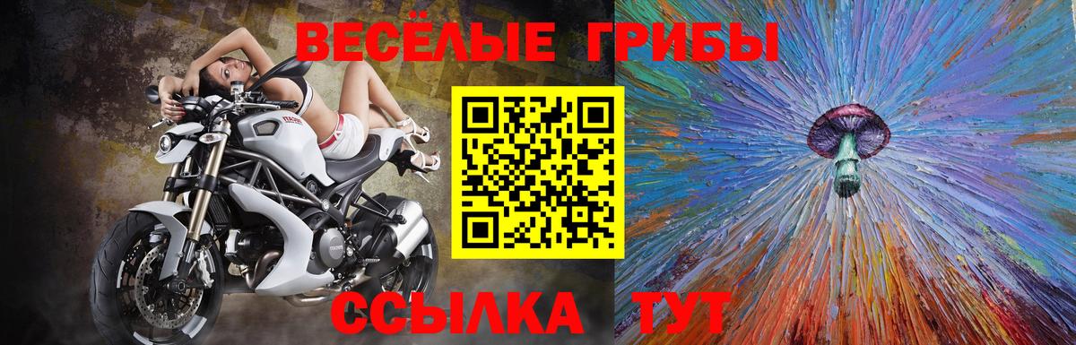 Стрежевой  Галлюциногенные грибы мицелий  Вход с VPN 
