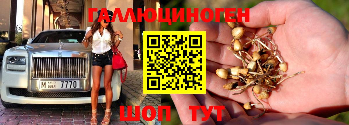 Галлюциногенные грибы ЛСД Стрежевой